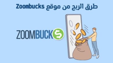 طرق الربح من موقع Zoombucks