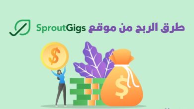 طرق الربح من موقع SproutGigs