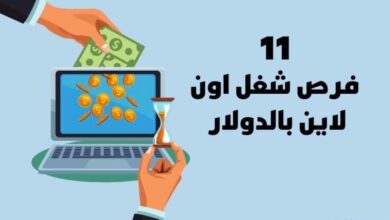 فرص شغل اون لاين بالدولار